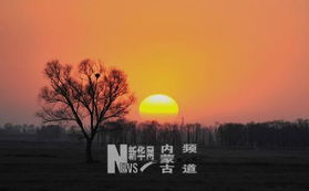 关于塞北落日诗句