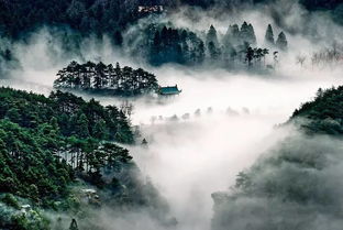 庐山,诗句,赞美,景色