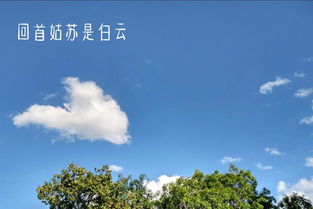冬天苏州的诗句古诗