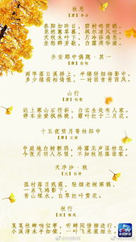 关于二十四节秋风的诗句