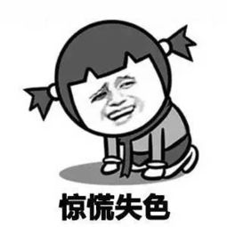 古诗句污