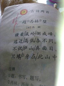 3字诗句古诗大全