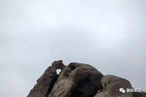 描写咏雪的古诗句岑参