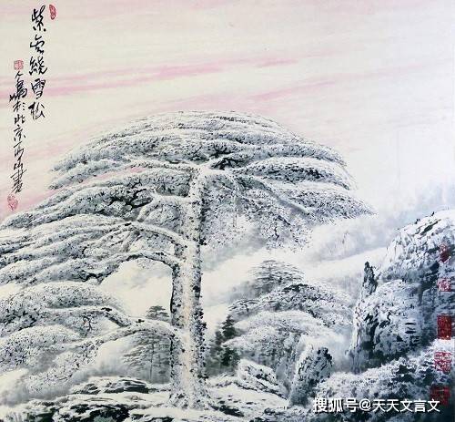 描写松树和雪的诗句,松树挂雪的诗句,松树在雪中挺拔的诗句