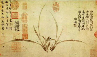 关于兰的经典诗句