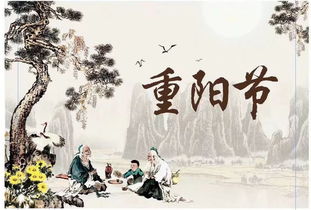 重阳节菊花诗句古诗大全
