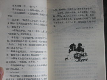 青涩华作文开头