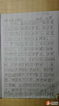 小学三级怎么开头写作文