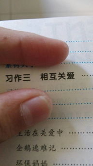 六级关于关爱的好作文的开头