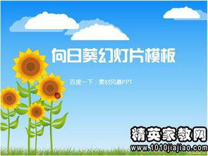 幼儿园教师年度个人工作述职报告范文(幼儿园教师年度个人工作述职报告范文)