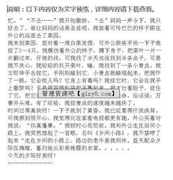 那一次成功的尝试的作文开头结尾