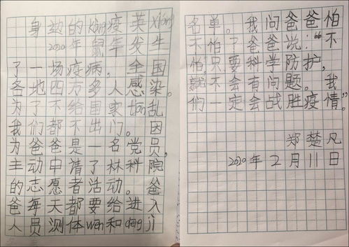 清明节抗疫英雄作文开头