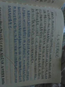 作文开头好句400字摘抄加赏析