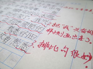 第一次比喻作文开头