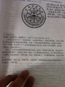 作文,提纲,开头,写作