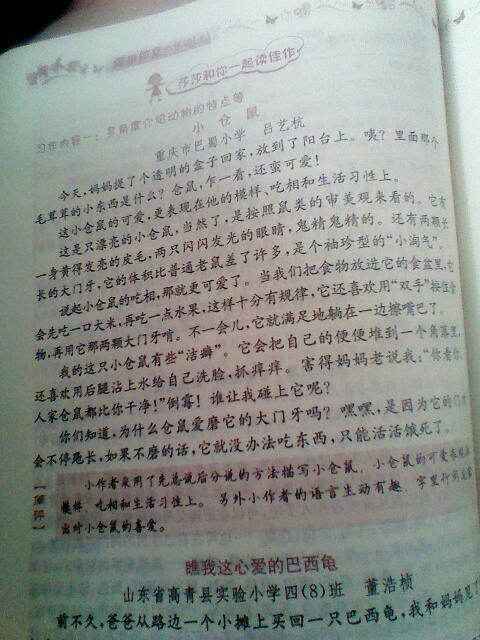 四级写动物作文开头结尾怎么写