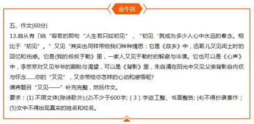 环境决定价值作文开头