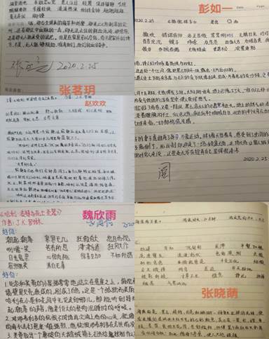 被忽视的......作文开头