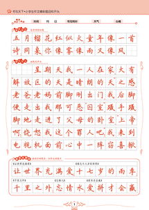 作文,开头,精彩