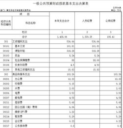 部门决算分析报告(部门财务决算分析报告)