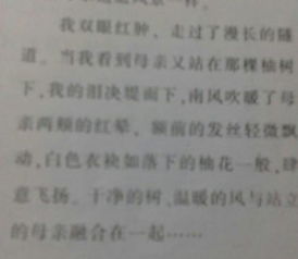 写人亲情叙事作文开头结尾摘抄大全