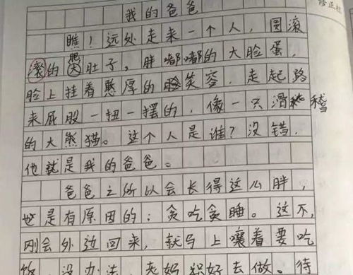 爸爸是你让我作文600字作文开头