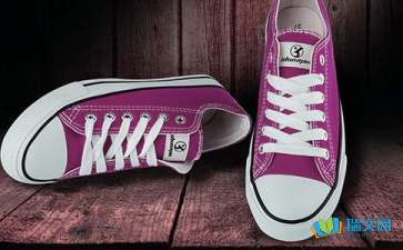 未来的鞋子作文550字开头