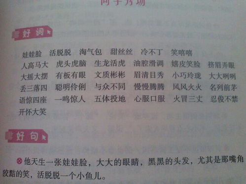 校园的小伙伴作文开头结尾怎么写