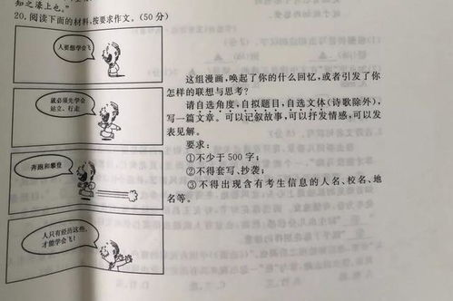 生活中付出得到收获的作文五百字作文开头