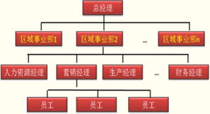 公司战略与风险管理(公司战略与风险管理)