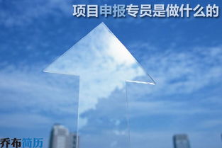 项目申报专员简历范文(项目申报专员工作内容)