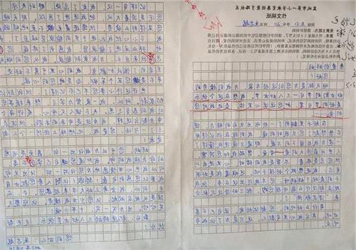 母爱陪伴议论文作文的开头