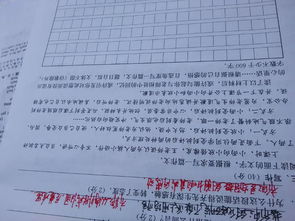 作文周末800字开头初三
