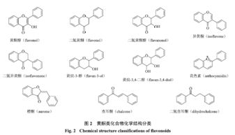 黄酮类化合物的提取与分离方法综述论文(Vsp记录的波场分离方法综述)