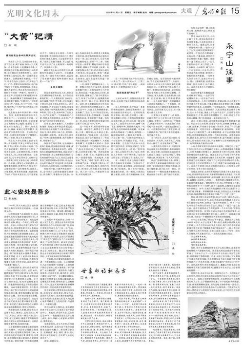 关于大黄的作文(关于韭黄的作文精选)