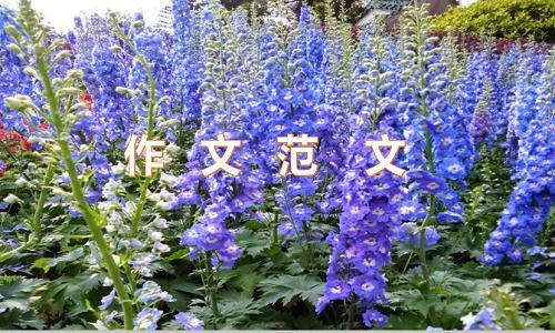 托物喻人作文的开头