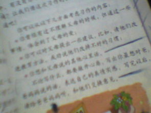 有关父母爱的作文的开头