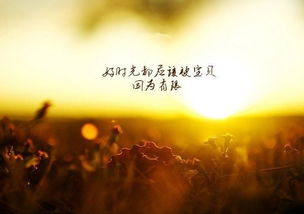 关于工作的励志语录(关于工作的励志语录)
