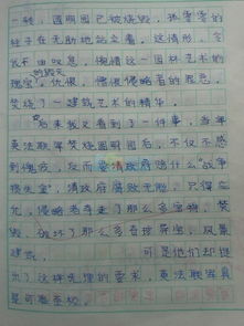 作文这样的人让我叹息开头