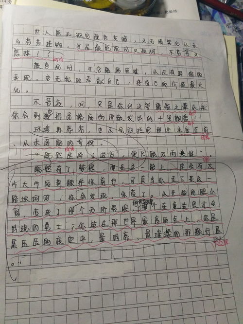 托物言志的作文蜘蛛开头怎样写