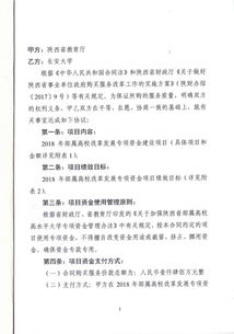 政府购买服务合同(政府购买服务合同范文)