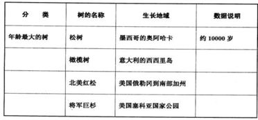 第一次半命题作文开头