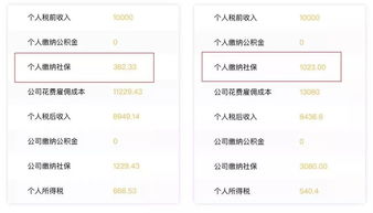关于社保的这些信息不能错过(吃什么对头发好 这些食物不能错过)