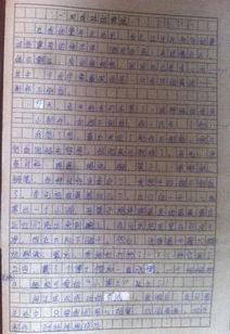 的尝试作文600字作文开头怎么写