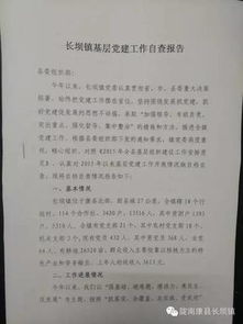 关于三送工作开展情况的自查报告(关于政务公开工作开展情况汇报)