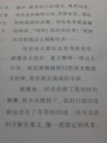 关于亲情记叙文的作文开头