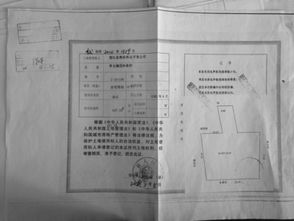 关于办理土地证的申请报告(土地证办理费用)