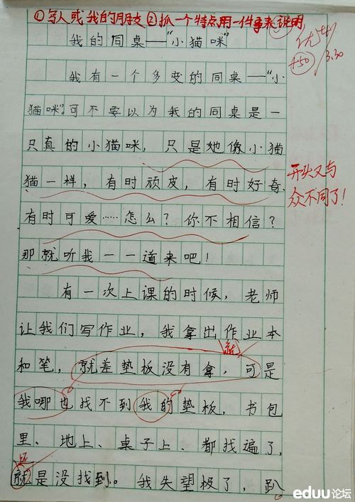 同桌有你真好作文500字开头