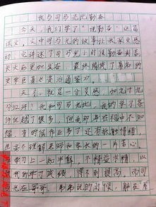 我懂的了勤奋450字作文开头