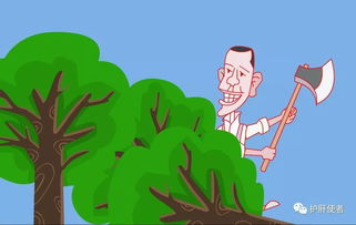 一次性筷子作文开头